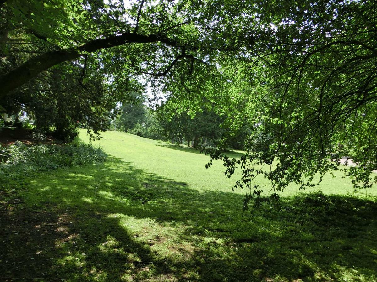 Appartamento Modernes, Sonniges Im Herzen Von Düsseldorf